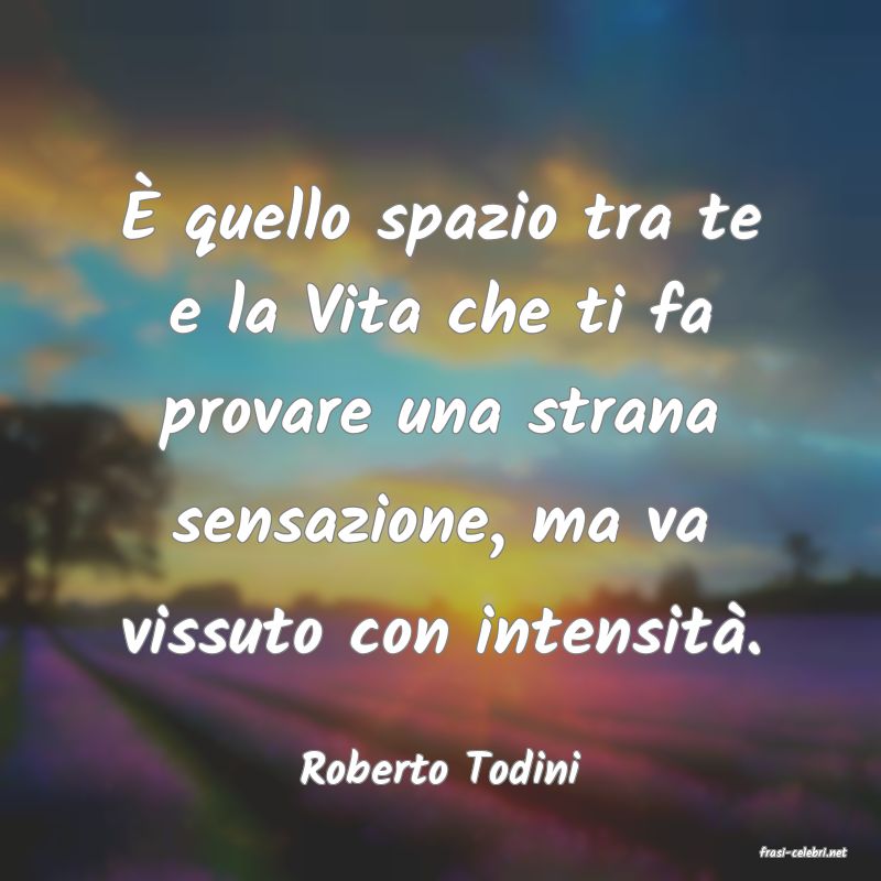 frasi di  Roberto Todini
