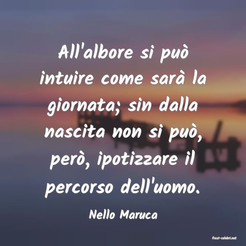 frasi di  Nello Maruca
