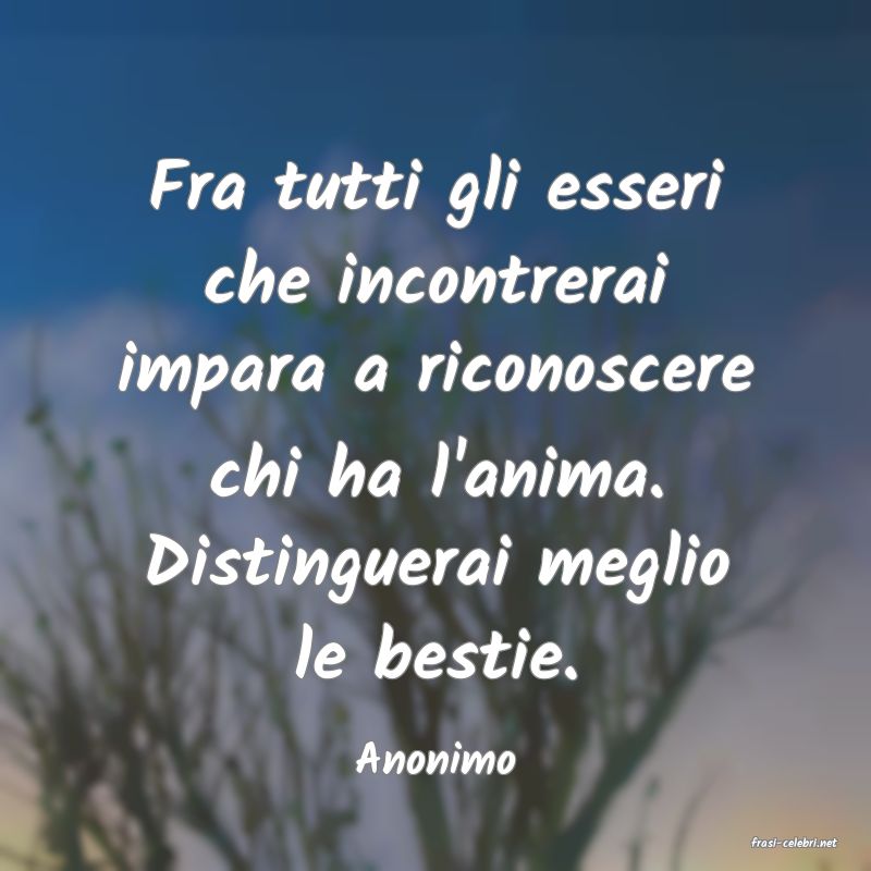 frasi di Anonimo