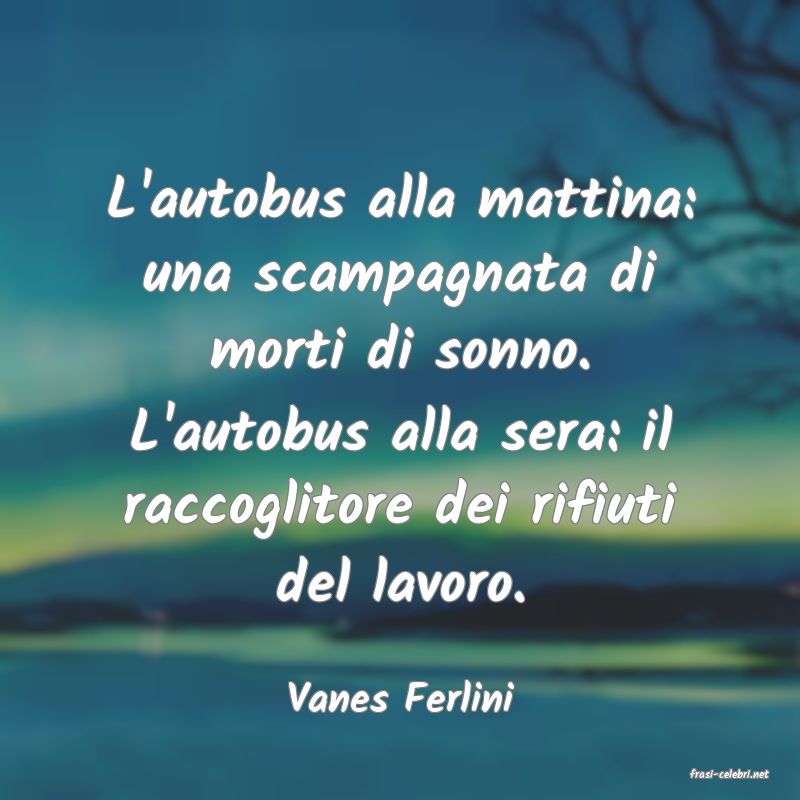 frasi di  Vanes Ferlini
