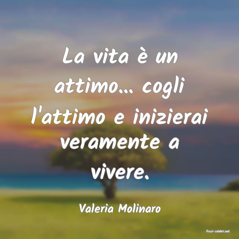 frasi di  Valeria Molinaro
