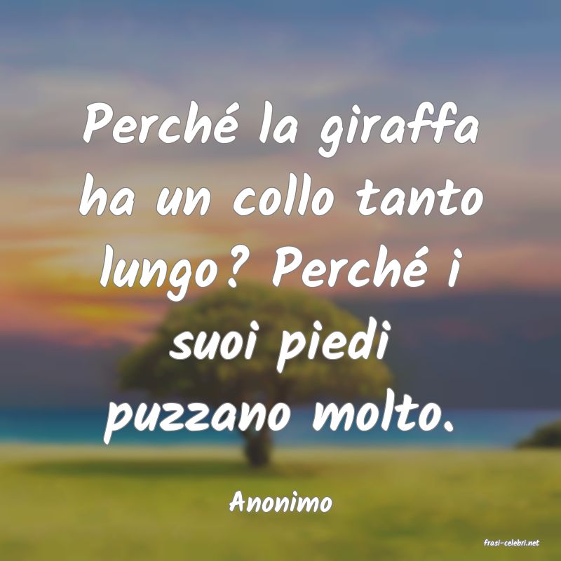 frasi di Anonimo