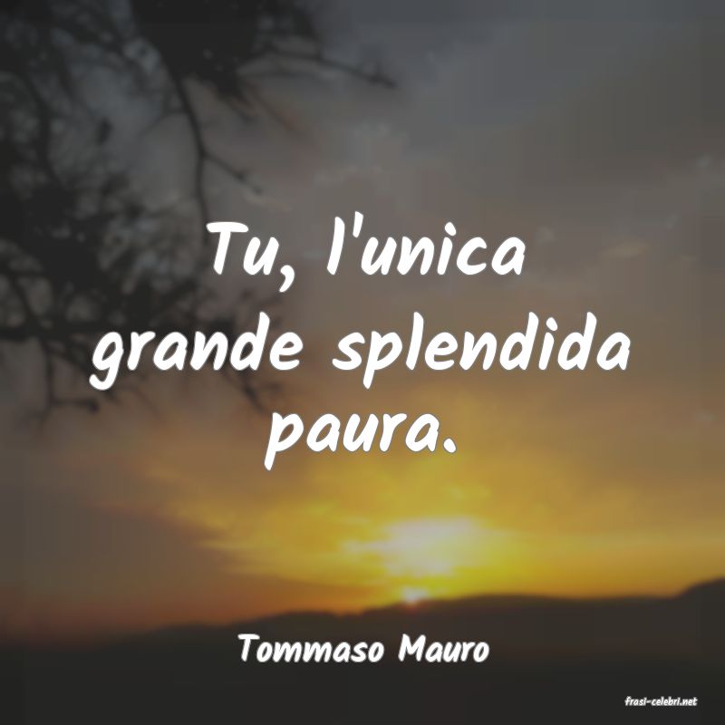 frasi di Tommaso Mauro