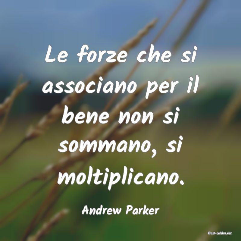 frasi di  Andrew Parker
