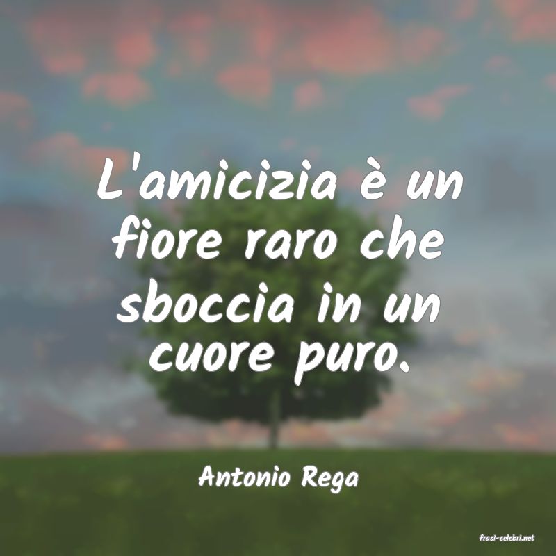 frasi di  Antonio Rega
