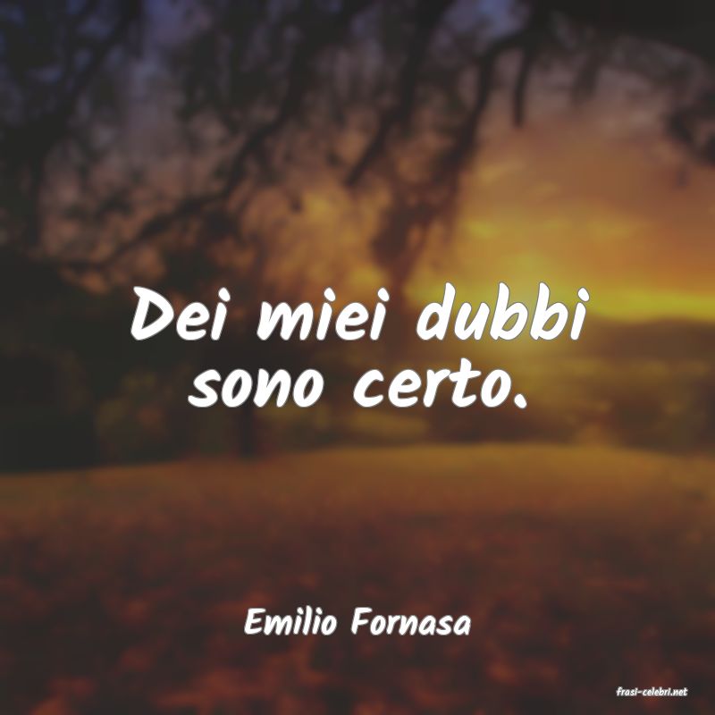 frasi di  Emilio Fornasa
