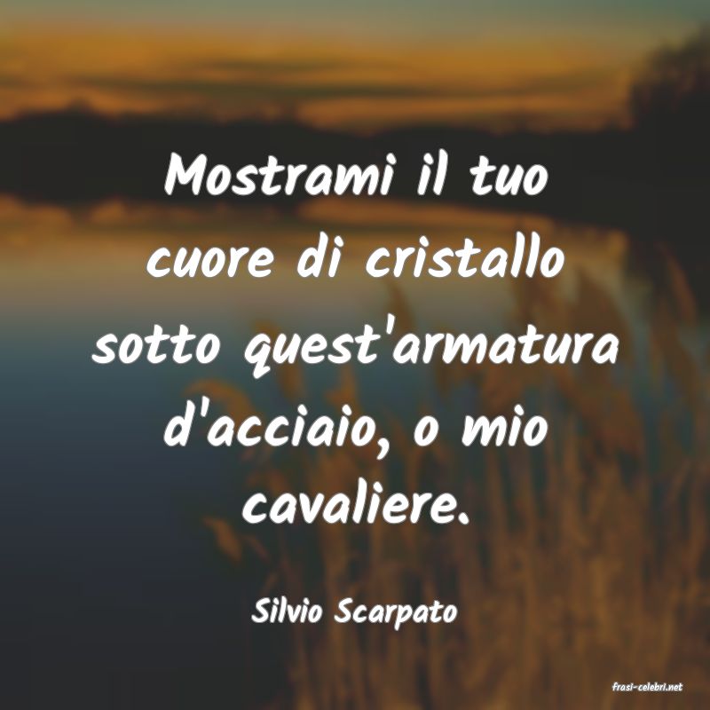 frasi di  Silvio Scarpato
