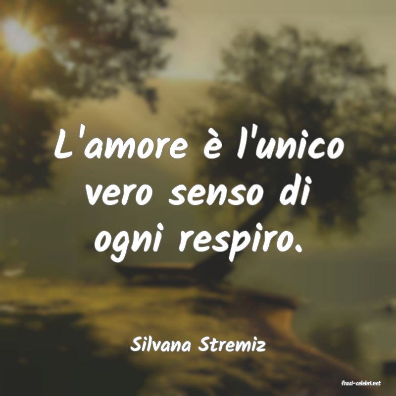 frasi di  Silvana Stremiz
