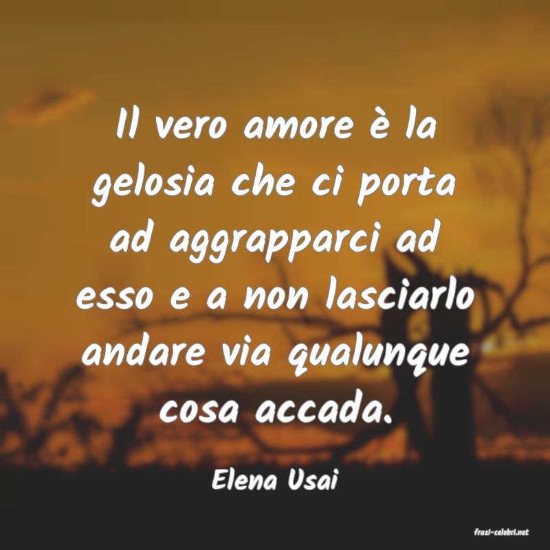 frasi di  Elena Usai
