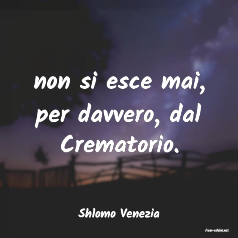 frasi di Shlomo Venezia