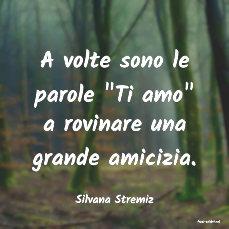 frasi di  Silvana Stremiz
