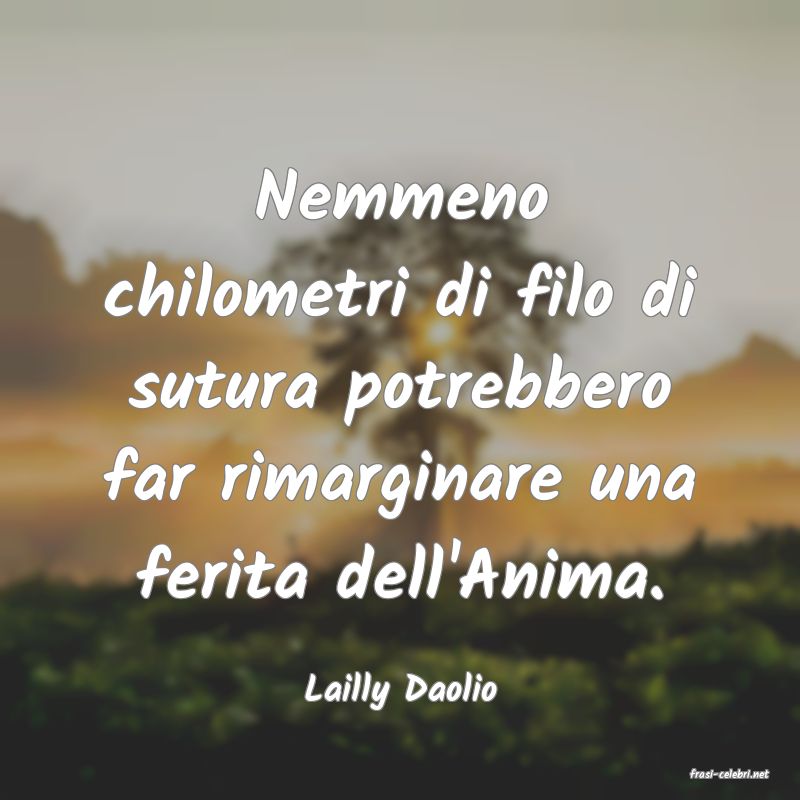 frasi di  Lailly Daolio
