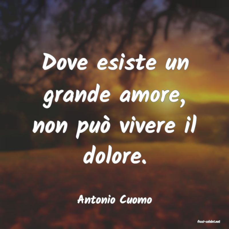 frasi di  Antonio Cuomo
