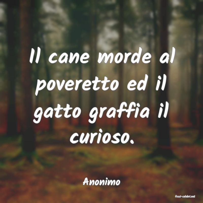 frasi di Anonimo