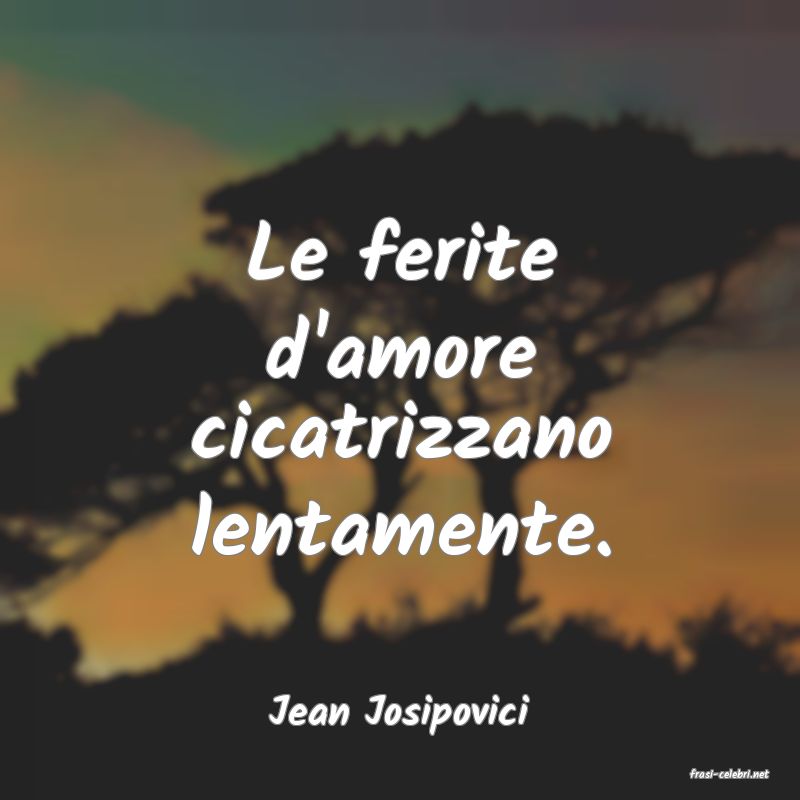 frasi di Jean Josipovici
