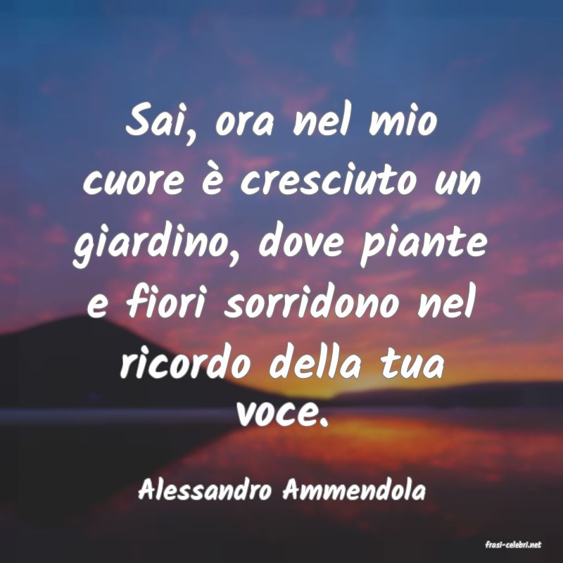 frasi di  Alessandro Ammendola
