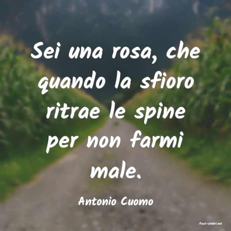 frasi di  Antonio Cuomo
