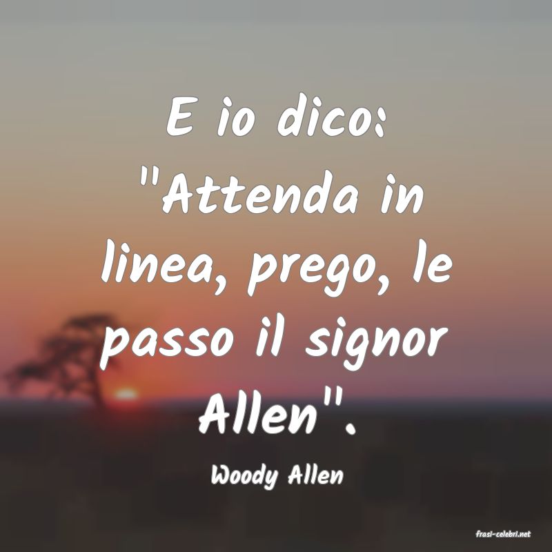 frasi di  Woody Allen
