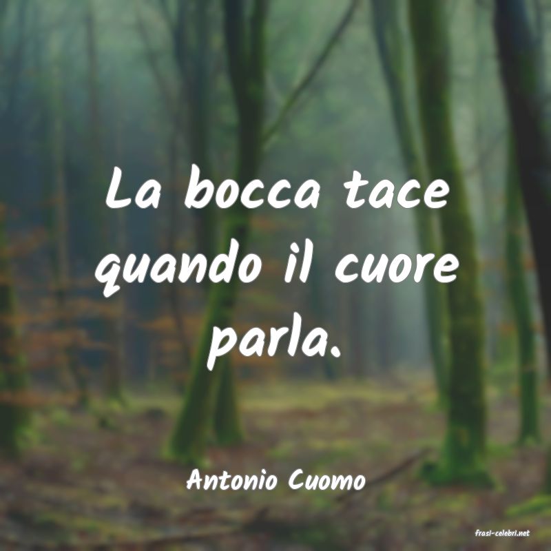 frasi di  Antonio Cuomo
