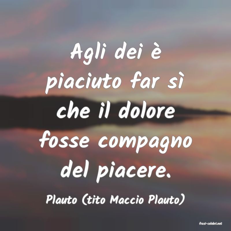 frasi di  Plauto (tito Maccio Plauto)
