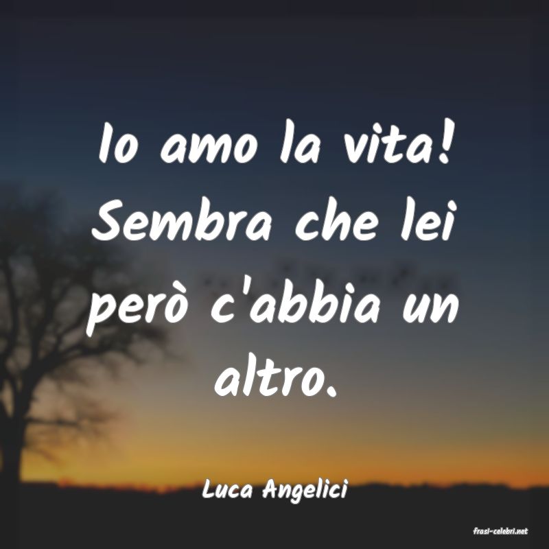 frasi di Luca Angelici