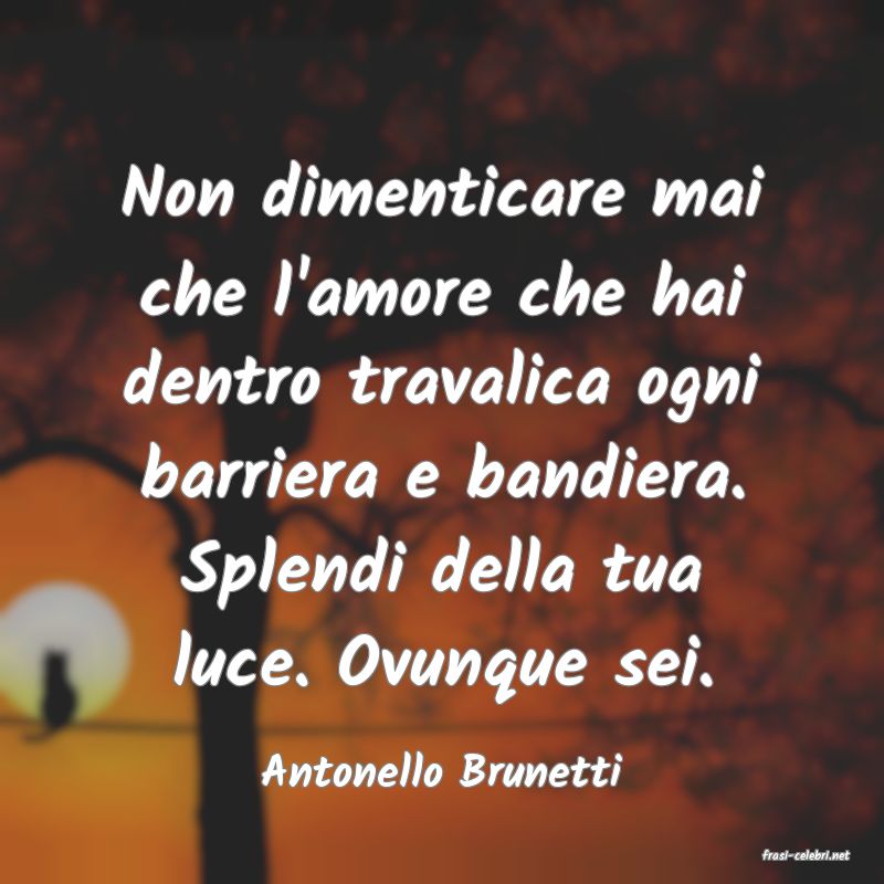 frasi di  Antonello Brunetti
