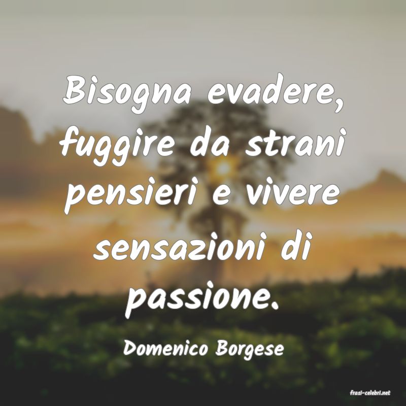 frasi di  Domenico Borgese
