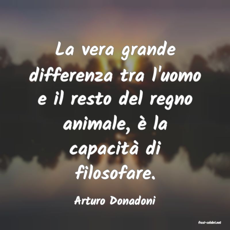 frasi di  Arturo Donadoni
