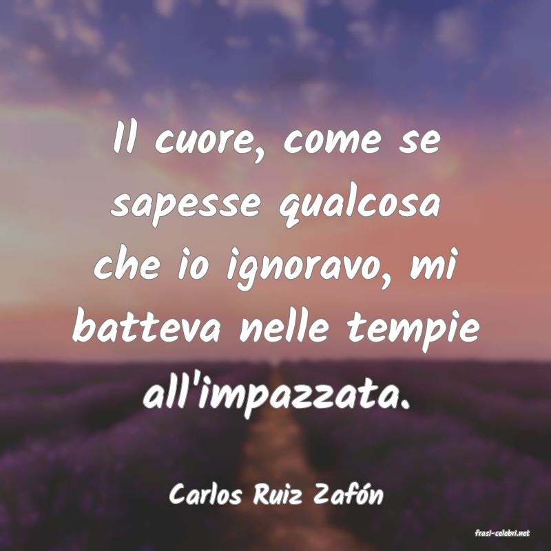 frasi di Carlos Ruiz Zafn