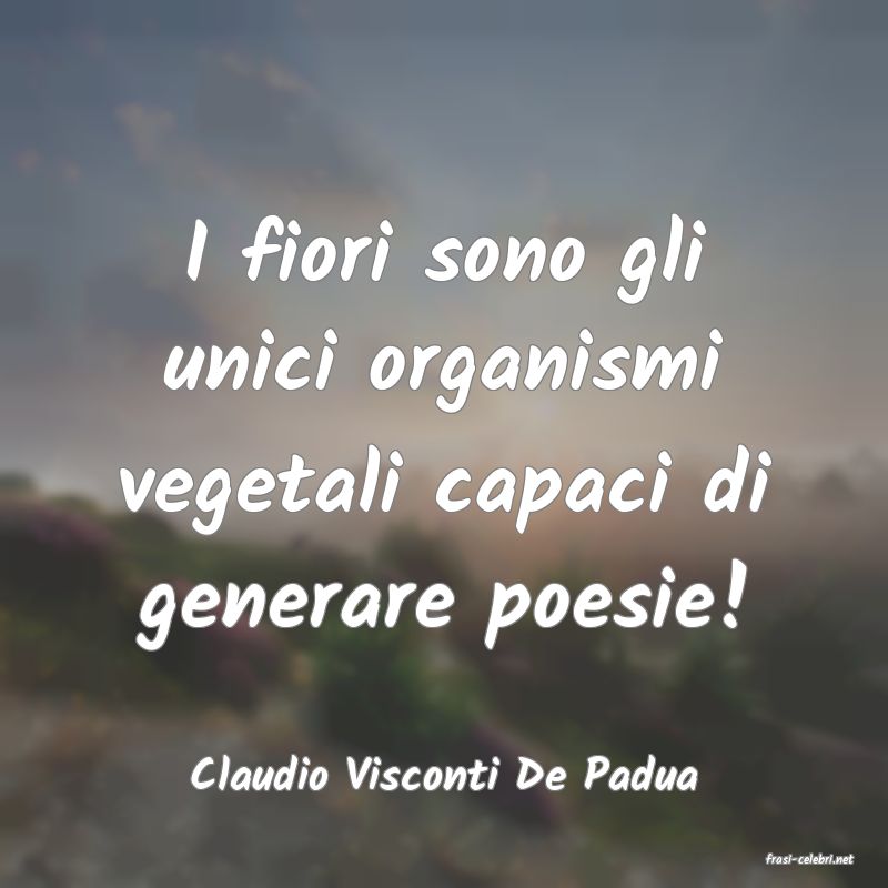 frasi di  Claudio Visconti De Padua
