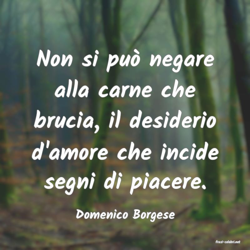 frasi di  Domenico Borgese
