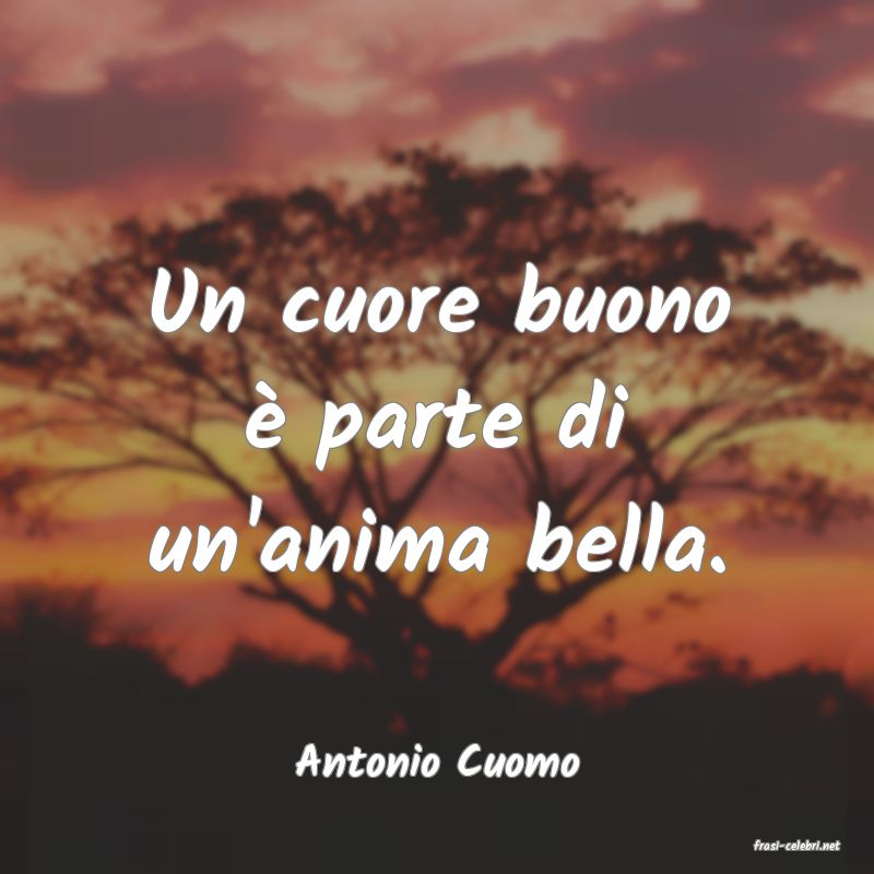 frasi di  Antonio Cuomo
