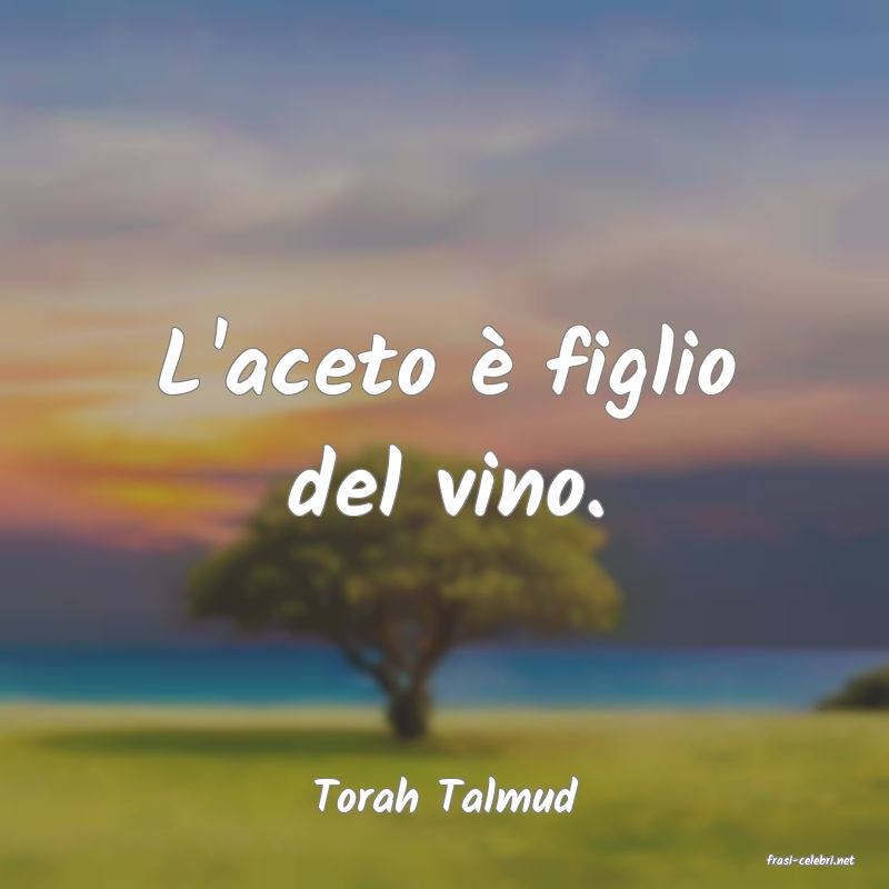 frasi di Torah Talmud