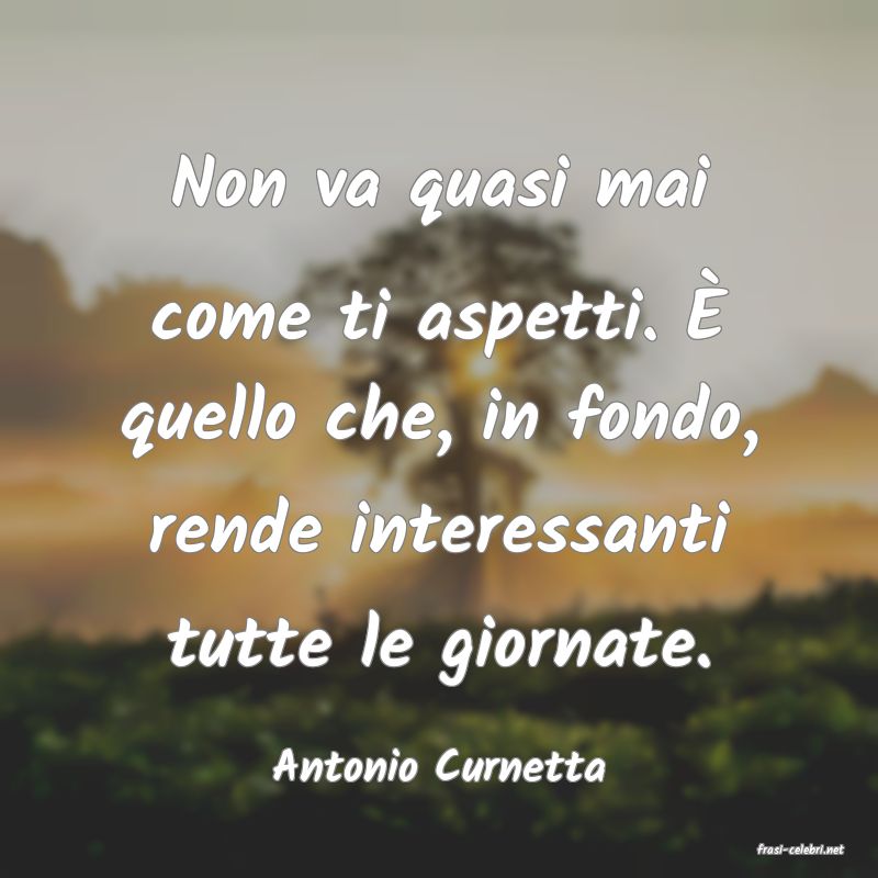 frasi di  Antonio Curnetta
