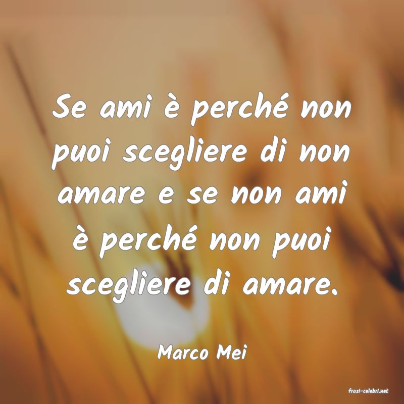frasi di  Marco Mei
