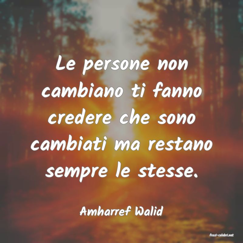 frasi di  Amharref Walid
