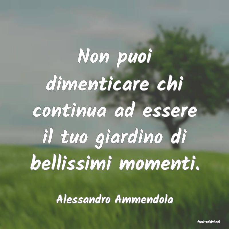 frasi di  Alessandro Ammendola
