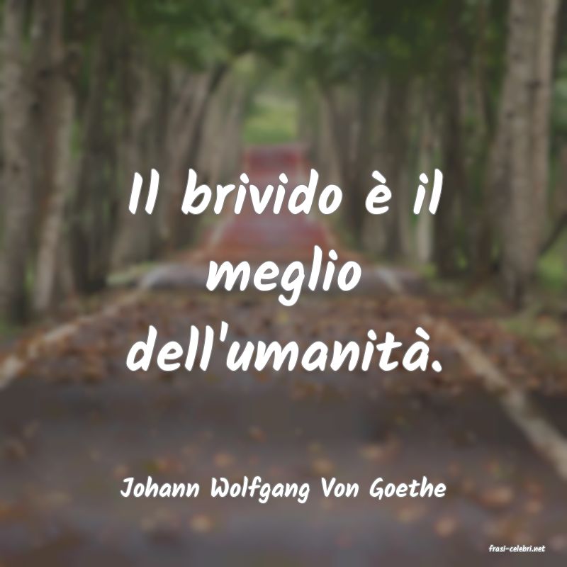 frasi di  Johann Wolfgang Von Goethe
