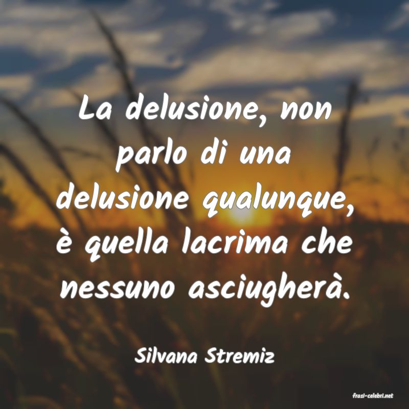 frasi di  Silvana Stremiz
