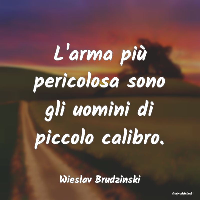 frasi di Wieslav Brudzinski
