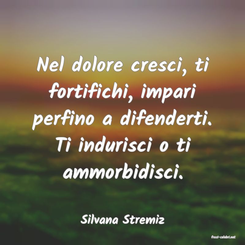 frasi di Silvana Stremiz