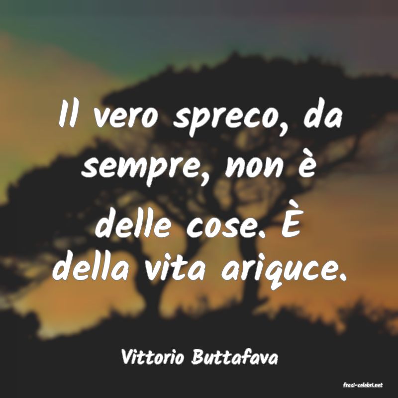 frasi di Vittorio Buttafava