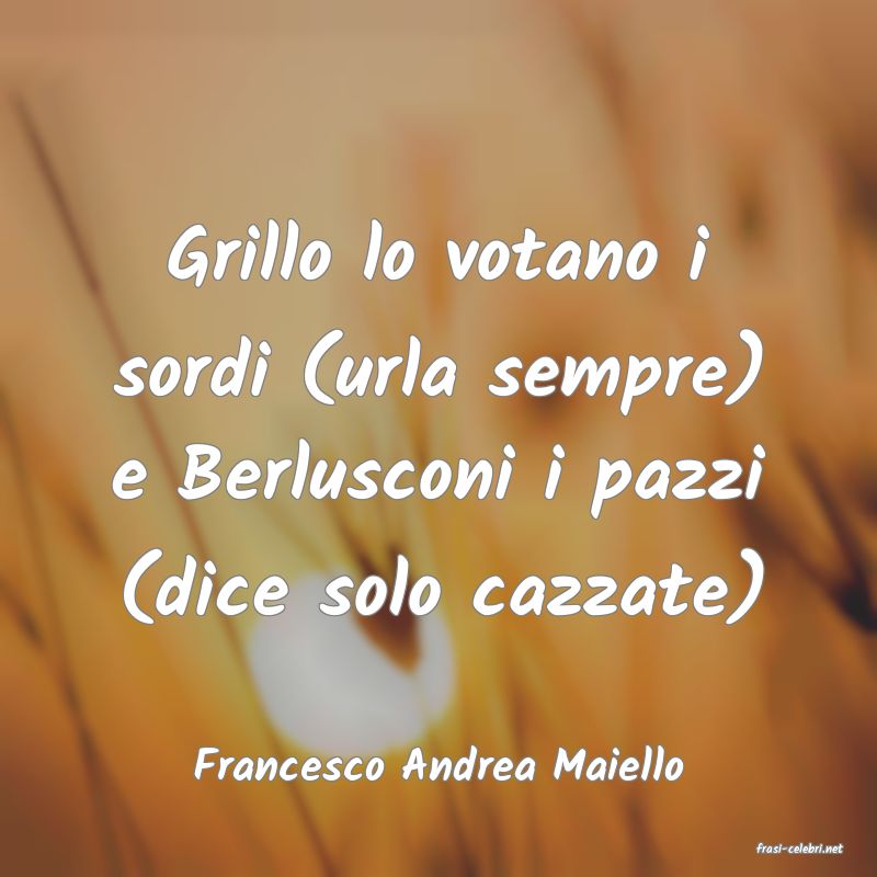 frasi di  Francesco Andrea Maiello
