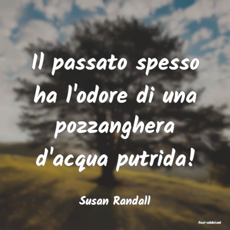 frasi di  Susan Randall
