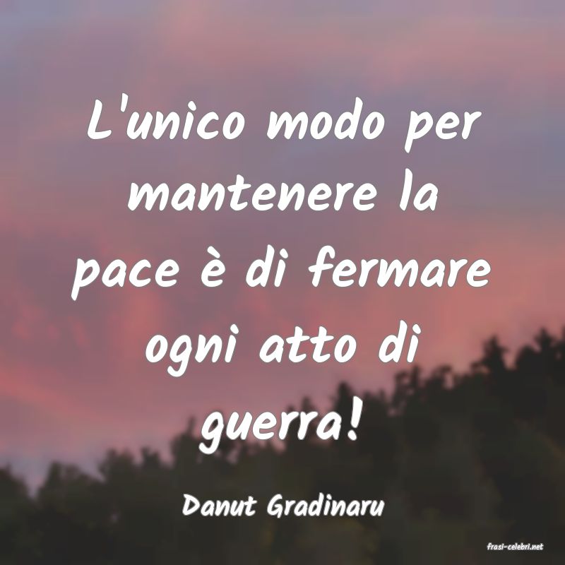 frasi di Danut Gradinaru
