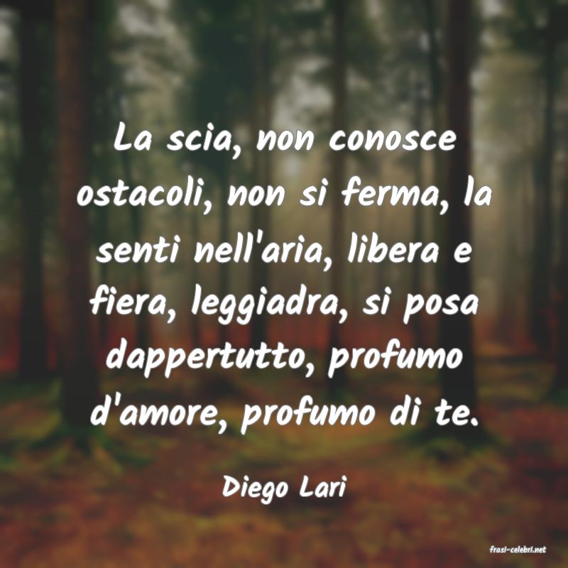 frasi di  Diego Lari
