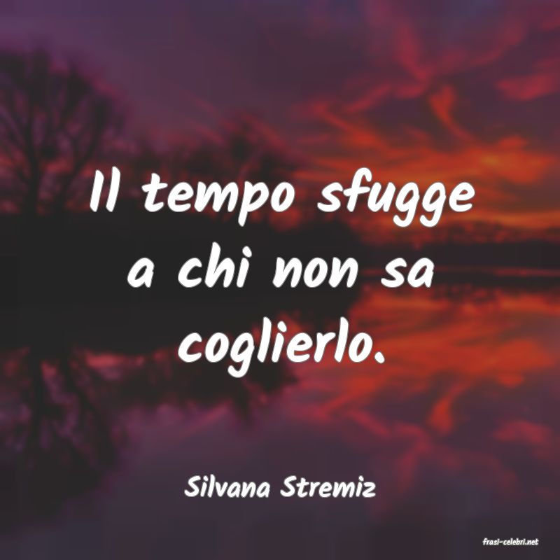 frasi di  Silvana Stremiz
