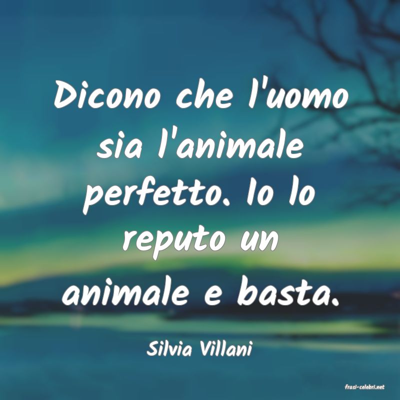 frasi di  Silvia Villani
