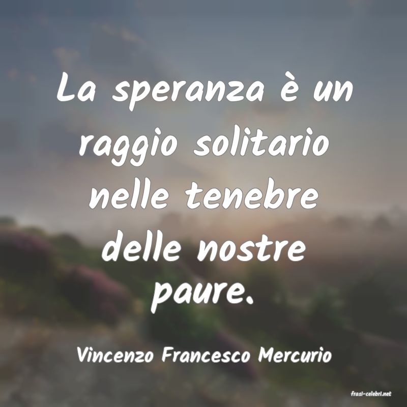 frasi di Vincenzo Francesco Mercurio