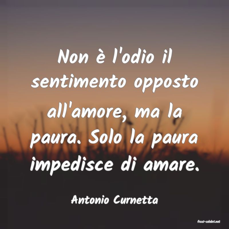frasi di  Antonio Curnetta
